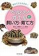 初めてでも大丈夫！ ベルツノガエルの飼い方・育て方
