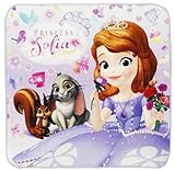 ハンカチ プチタオル ちいさなプリンセス ソフィア ガーデン 25×25cm PF421100