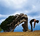 アナザー・ワールド(デラックス)