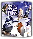 野鳥図鑑 DVD-BOX