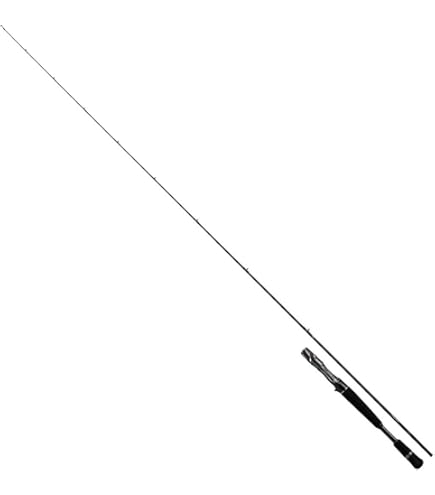 Amazon | ダイワ(DAIWA) 21 スティーズ SC C66ML-G ベイト