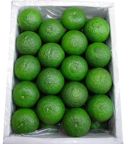Amazon.co.jp: 徳島県産 すだち L～3L 1箱 1kg 低農薬・特別栽培