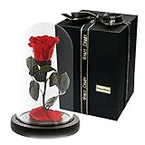 MAYMII 100 %ハンドメイドPreserved Never withered Realローズフラワーwith Real Fallen花びら、in Luxuryガラスドームのプレゼント、バレンタ