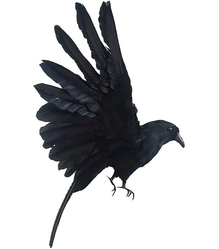 Amazon.co.jp: 丹波焼 愛嬌のある陶器の置物 カラスの陶芸家 リビング