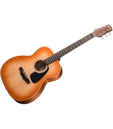 MORRIS アコースティックギター F-280 TS Amazon | MORRIS F-280 TS アコースティックギター | スチール弦