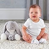 ベビーアスペン Baby Aspen 男女兼用グレーうさぎぬいぐるみといろいろ柄ソックス3足セット [並行輸入品]
