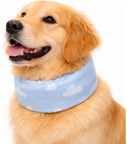 Amazon | 【LIFELIKE公式】ビタミンカラーバンダナ S M L 犬 クール