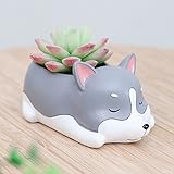 Liebeye 植木鉢　陶器 卓上 犬 動物 装飾 多肉植物 フラワーポット 花器 多肉 インテリア 家飾り 飾り物 可愛い おしゃれ ハスキー