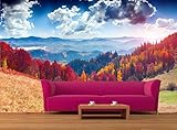 3D の壁画写真の壁紙装飾の大きな紙の壁に色鮮やかな秋の風景