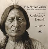 In the Sky I am Walking