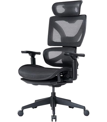 Amazon | AEGIS Chair PREMIUM イージスチェアプレミアム 
