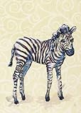 Oopsy Daisy Canvas Wall Art, Zebra Baby, 14' x 18' [並行輸入品]