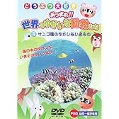 サンゴ礁のゆかいないきもの [DVD]