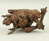 いよじ園 【盆栽卓】 天然根卓 [みずき]［高：6.5cm］【盆栽道具】【飾卓】【花台】【smtb-KD】