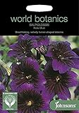 WB 英国ジョンソンズシード Johnsons Seeds world botanics collection Salpiglossis Kew Blue サルピグロッシス・キュー・ブルー ジョンソン