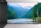 wall26 自己粘着性ウォールペーパー 大きな壁 壁画シリーズ 100"x144" WMR-WP-X-C217-100x24x6