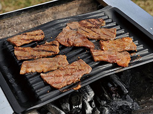 鉄板 焼網を考える19 キャンプ編 ちばんぶー９の備忘録