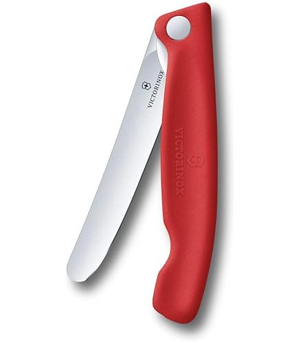 Victorinox Swiss Classic Folding Picnic Knife for Hiking, Fruits