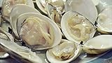 千葉県旭市　飯岡のサンマのなめろうと蛤の酒蒸し