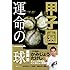 甲子園 運命の一球