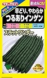 タキイ種苗 おいしさセレクト 早どり、やわらか つるありいんげん スラットワンダー