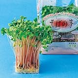 中原採種場　そばの芽　スプラウト　60ml　3袋セット