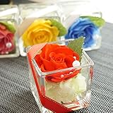 【ベルシック】 プリザーブドフラワー　PURE・レッド　枯れないお花　お祝・お見舞い　　　＜即日出荷＞＜送料無料（一部地域を除き）＞ (レッド)