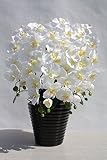 アートフラワー造花・高級胡蝶蘭9輪5本立て陶器鉢光触媒品