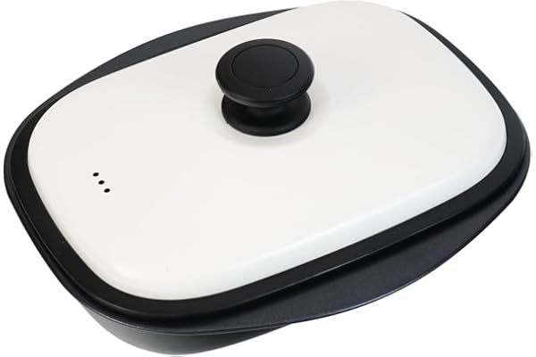和平フレイズ 電子レンジで焼き目が付く! レンジパン L [1台7役の調理 焼く 炒める 茹でる 煮る 蒸す 炊く 温め直し] 食洗器OK グリルパン 耐熱皿 PFOAフリー ふっ素樹脂加工 パリージュ RE-7532