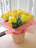 光触媒 アートフラワー 母の日 カーネーション イエロー カゴ付き 造花