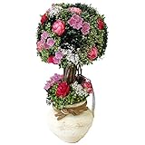 パラボッセ ドライフラワー キャンディトピアリー 小 ピンク