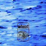 Medeiros [12 inch Analog]