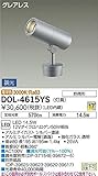 大光電機　LEDアウトドアスポット 【DOL-4615YS】