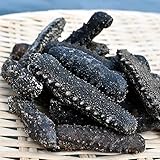 乾燥ナマコ 品質A 中(4cm~6cm) 400g(80個前後)
