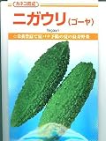 ニガウリ(ゴーヤ) カネコの育成したゴーヤの種です