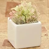 プリザーブドフラワー 花花 観葉植物 枯れない お花 お祝い プチギフト プレゼント 【 メッセージカード / ラッピング 無料 】( アジサイ )