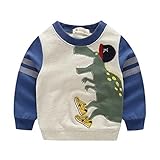 Kids Boys 'dinosaurストリップ長袖TシャツCartoonスウェットシャツ US サイズ: S カラー: ブルー