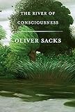 The River of Consciousness