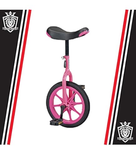 エバニュー(EVERNEW) 一輪車(ノ-パンク)16 EKD136 ピンク 超