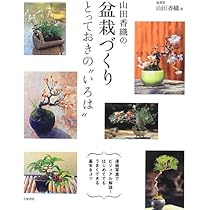 椿盆栽　出雲香　盆栽いろは 021067c79133683b960898665940b2