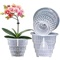 51CiUzObhaL._AC_UL210_SR210,