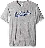 MLB Los Angeles Dodgers ' 47ブランドメンズFieldhouse基本的なTスタイル、1、XL、グレー