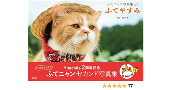 ふてニャン写真集 ふてやすみ 関 由香 本 通販 Amazon
