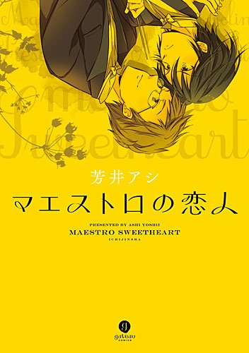 『マエストロの恋人』1巻