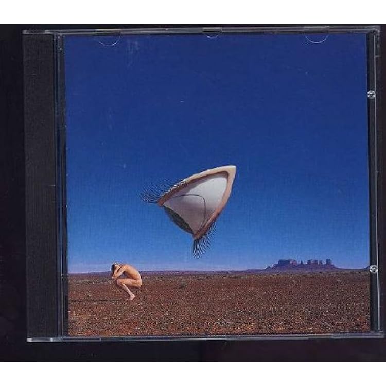 Amazon.co.jp: No Need to Argue: ミュージック