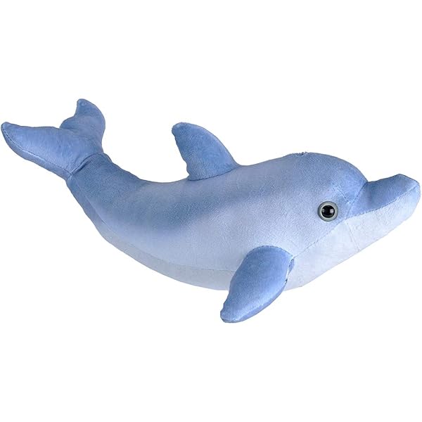 dolphin teddy