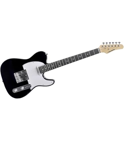 Amazon | PLAYTECH プレイテック エレキギター TL250 Sunburst