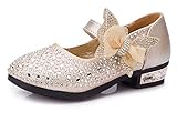 RoRykon 子供フォーマル靴 フォーマルシューズ 女の子 キッズ シューズ 子供シューズ ドレス用 七五三 誕生日 結婚式 入園式 発表会 プレゼント 演奏会 花嫁介添人 フラワーガール (32/