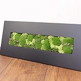 A plus floral art インテリア グリーン モスフレーム アレンジ Crop Moss 長方形 黒 フェイクグリーン 観葉植物 造花 プリザーブドフラワー 壁掛け