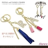 イニシャル付タッセルチャーム　バッグチャーム　キーホルダー　キーリング　アルファベット　フリンジ　ギフト　プレゼント A,モカ×ブラック A,モカ×ブラック